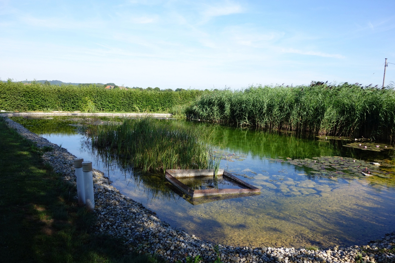 Blick auf den Regenerationsteich